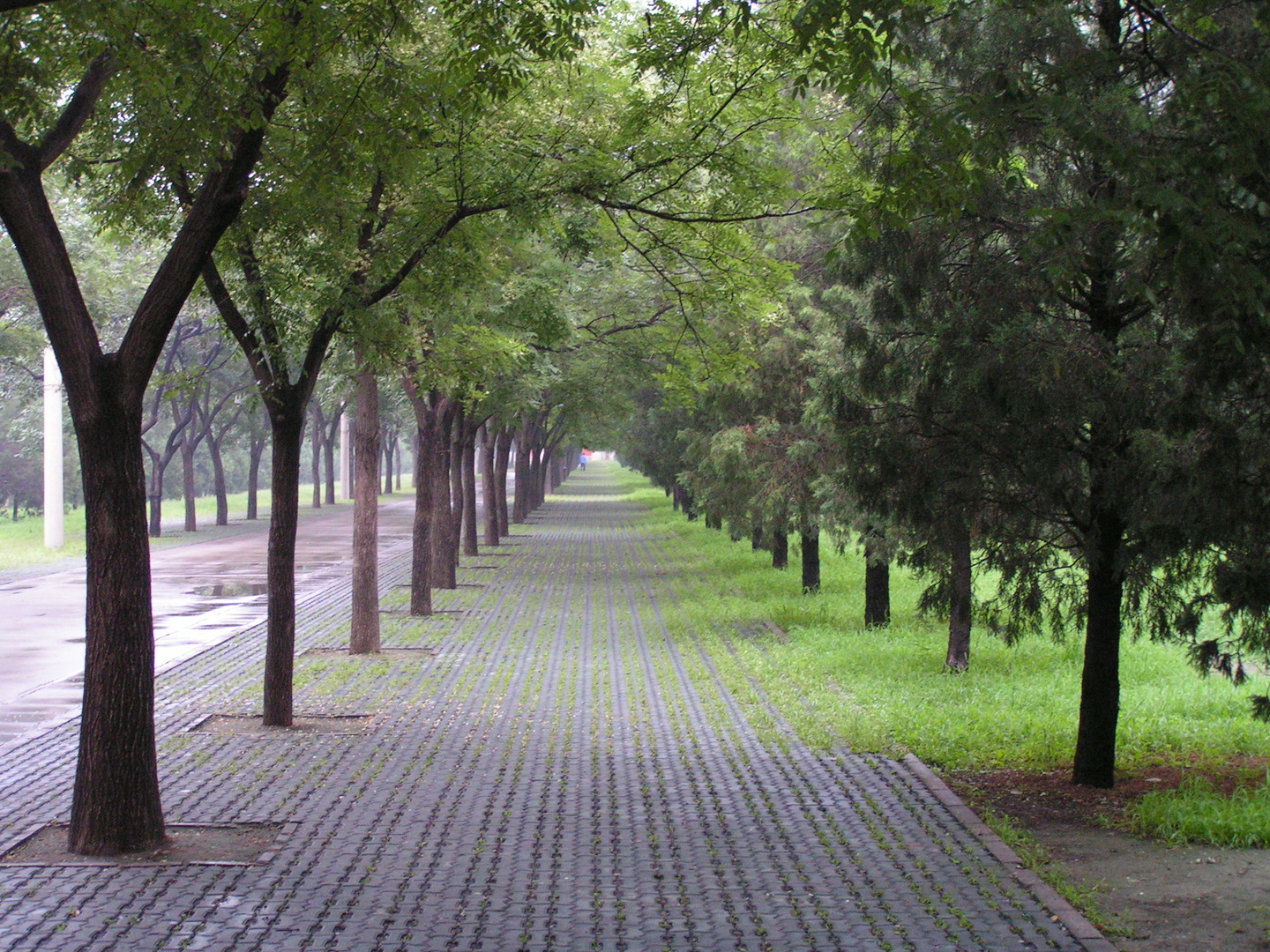 Beijing_20060725_007.jpg